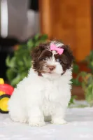 processed/c8feec1f-6606-4b89-b9ce-5a26c873fdbf/listing/e8e55cc2-50ad-4f78-acdd-19d5e362f8d6/0b4f6641-4abf-4257-acbe-aabc9a2295dd