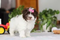 processed/c8feec1f-6606-4b89-b9ce-5a26c873fdbf/listing/e8e55cc2-50ad-4f78-acdd-19d5e362f8d6/42e5f4c2-c8f4-4f22-8af8-dbabecfe4df6