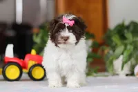 processed/c8feec1f-6606-4b89-b9ce-5a26c873fdbf/listing/e8e55cc2-50ad-4f78-acdd-19d5e362f8d6/63c6cb39-6989-4eaf-965f-37cf8aec93b2