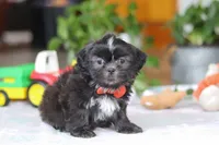 processed/c8feec1f-6606-4b89-b9ce-5a26c873fdbf/listing/f93343c1-71cc-4ee8-b770-fc508c0b91a2/b396dce6-77aa-4918-9261-d1cc183cecbe