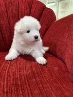 processed/c9095acd-012e-4049-9879-c147330ddf99/listing/09d25b5c-3e41-41d5-b2af-a0fe4095a3aa/91c55265-2e53-4086-b616-af9eea7b40ad