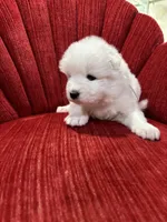 processed/c9095acd-012e-4049-9879-c147330ddf99/listing/09d25b5c-3e41-41d5-b2af-a0fe4095a3aa/9f551f3a-46a6-4d47-90a9-b62ae98aa6d0