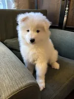 processed/c9095acd-012e-4049-9879-c147330ddf99/listing/09d25b5c-3e41-41d5-b2af-a0fe4095a3aa/ce21e76b-d37c-48fb-8466-92468a56b4a7