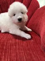 processed/c9095acd-012e-4049-9879-c147330ddf99/listing/250bce63-144a-4a17-94c8-402b7ec3f63e/3316a553-ca0b-427b-a7a4-10476fa46ce4