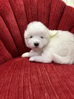 processed/c9095acd-012e-4049-9879-c147330ddf99/listing/49d3e38d-e30c-43cb-a39d-627d6121b1b1/8a36aa31-f2e4-4228-8915-825a87ecefd2