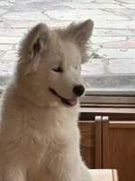 processed/c9095acd-012e-4049-9879-c147330ddf99/listing/c0962399-e521-488b-83b4-5c64ff152959/1eb4b9bc-40de-458e-8646-e7158d2c2842