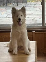 processed/c9095acd-012e-4049-9879-c147330ddf99/listing/c0962399-e521-488b-83b4-5c64ff152959/8886e37c-8399-4d84-934e-c7cd41c7039a