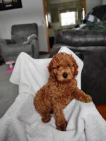 processed/c90d0779-709f-4f65-ae62-f6a9e48585eb/listing/336f0cc0-a48b-4a3c-bc15-d9462ac94174/1686fc2a-9fe0-43ab-99f1-ae8b784e4cd9