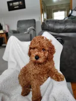 processed/c90d0779-709f-4f65-ae62-f6a9e48585eb/listing/336f0cc0-a48b-4a3c-bc15-d9462ac94174/8a665cd5-72ab-4c10-a7e0-4723433c7eaa