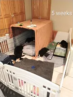 processed/c90d2081-eb64-44b8-a3e1-7696d61aacc4/facility/9f2a2f42-f82b-445d-ad5d-3559b9a0260d