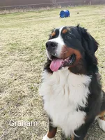 processed/c90d2081-eb64-44b8-a3e1-7696d61aacc4/facility/b1aa28a4-a414-4da6-b091-1d9f3fc353ce