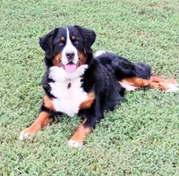 processed/c90d2081-eb64-44b8-a3e1-7696d61aacc4/facility/b2659078-1829-4f60-a2b8-be816fce1851