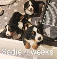 processed/c90d2081-eb64-44b8-a3e1-7696d61aacc4/facility/b974c5ae-b31a-48a4-8aec-73534ab71c2f