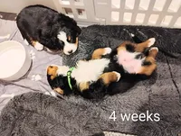 processed/c90d2081-eb64-44b8-a3e1-7696d61aacc4/facility/d40383b9-b6ea-4c16-8f83-db4be159e621