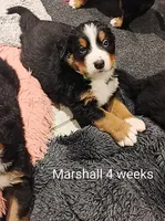 processed/c90d2081-eb64-44b8-a3e1-7696d61aacc4/facility/fdcfeb58-7551-457c-ac85-2665790a5d08