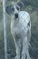 processed/c90e5daa-1313-4a33-a14b-56f69b45ec73/listing/7ba727fe-114a-44d0-8e5e-f9c6c2c3c16b/e40c0d9f-e719-4727-a9be-12c079d9f1db