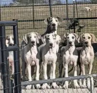 processed/c90e5daa-1313-4a33-a14b-56f69b45ec73/listing/9873f01c-5eae-48eb-abb0-3ccbf0d0811e/0ee4ede0-8808-44ff-9058-eb8f14a59ef8