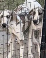 processed/c90e5daa-1313-4a33-a14b-56f69b45ec73/listing/9873f01c-5eae-48eb-abb0-3ccbf0d0811e/bfd14510-2ceb-4fa7-a1de-cd66fcb3c040