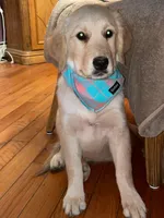 processed/c9105b39-6ff7-4f0e-893c-11044d6a4553/facility/7df6904b-7af2-4dff-a4b8-c41f163b7cc9