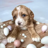 processed/c9105b39-6ff7-4f0e-893c-11044d6a4553/facility/9f356b38-5fbf-4311-ac47-dd91b83a1728