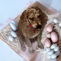 processed/c9105b39-6ff7-4f0e-893c-11044d6a4553/facility/cae181fe-00fa-4594-8366-9643464532c7