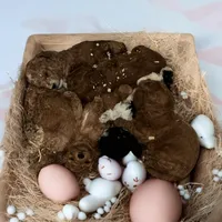 processed/c9105b39-6ff7-4f0e-893c-11044d6a4553/facility/ceddec22-f196-4b97-8e06-c0da1b134b1c