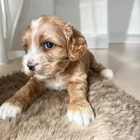 processed/c9105b39-6ff7-4f0e-893c-11044d6a4553/facility/e0019691-3730-45c7-adcd-2ed53cba259f