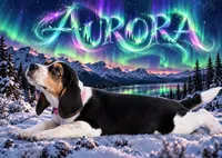 Aurora, a female Beagle for sale in Dade City, FL – 1 of 7