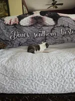 Elsa , a female Boston Terrier for sale in Walhalla, SC – 6 of 10