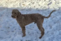 processed/c9413462-e9de-477b-ab08-0839d47cf1e5/listing/b246402d-8b6d-4a48-afd3-4d8bec63c91c/53d50982-049a-444a-9a75-d00db5b95d6e