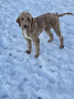 processed/c9413462-e9de-477b-ab08-0839d47cf1e5/listing/b246402d-8b6d-4a48-afd3-4d8bec63c91c/6ab9305d-8465-482e-93f7-68d80308b965