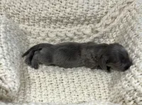 processed/c94c9e0b-9bfe-4883-b537-6fd2f69585b9/listing/6952955e-b0ff-4e03-87ea-0b1ef74a2251/5b65144c-45c4-4d7d-8769-d71817b68c00