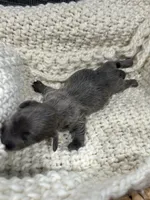 processed/c94c9e0b-9bfe-4883-b537-6fd2f69585b9/listing/6952955e-b0ff-4e03-87ea-0b1ef74a2251/c0a742a6-373b-44fb-b3ac-3d799fc9d7a1