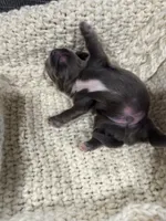 processed/c94c9e0b-9bfe-4883-b537-6fd2f69585b9/listing/6952955e-b0ff-4e03-87ea-0b1ef74a2251/dd98e9ec-7aca-439e-8891-d0a611dc9d4e