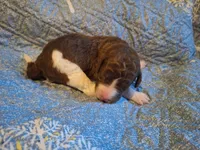 processed/c94f2afe-d787-4c25-bf60-35daacb5fedf/listing/03564fcb-22de-4923-bb7f-6bb0a0066939/46c33cd9-14ab-4381-b638-29ceaac934c5