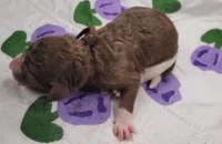 processed/c94f2afe-d787-4c25-bf60-35daacb5fedf/listing/03564fcb-22de-4923-bb7f-6bb0a0066939/5b824ee0-36a0-426f-a9b5-9da3d5fcdb8a