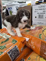 processed/c94f2afe-d787-4c25-bf60-35daacb5fedf/listing/03564fcb-22de-4923-bb7f-6bb0a0066939/79cb58b3-3961-461c-a577-c15566c355c3