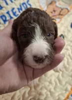 processed/c94f2afe-d787-4c25-bf60-35daacb5fedf/listing/03564fcb-22de-4923-bb7f-6bb0a0066939/7ca43676-1edc-46dc-a27c-587416ae9d79