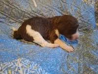 processed/c94f2afe-d787-4c25-bf60-35daacb5fedf/listing/03564fcb-22de-4923-bb7f-6bb0a0066939/b2cf9732-a9ab-4038-ac00-7bec3658ff27