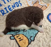 processed/c94f2afe-d787-4c25-bf60-35daacb5fedf/listing/03564fcb-22de-4923-bb7f-6bb0a0066939/f3d30491-8dce-4693-8997-08ed17f5cffc