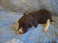 processed/c94f2afe-d787-4c25-bf60-35daacb5fedf/listing/51351f4d-e0d2-41ea-ab34-bc8b07948f63/94761325-c6b0-4f6c-94d8-11477c676167