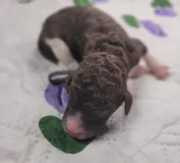 processed/c94f2afe-d787-4c25-bf60-35daacb5fedf/listing/51351f4d-e0d2-41ea-ab34-bc8b07948f63/c6bf9ded-b8cd-4980-a248-63264c9c61d8