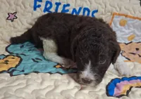 processed/c94f2afe-d787-4c25-bf60-35daacb5fedf/listing/51351f4d-e0d2-41ea-ab34-bc8b07948f63/f5d1e382-26a6-4238-b2ec-158f739c7e79