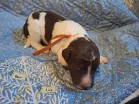 processed/c94f2afe-d787-4c25-bf60-35daacb5fedf/listing/60d93af1-fb3f-4623-a2a9-7d44c55dafee/440ddc32-6898-4186-973b-04ccb00f6247