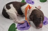 processed/c94f2afe-d787-4c25-bf60-35daacb5fedf/listing/60d93af1-fb3f-4623-a2a9-7d44c55dafee/5c69367d-9591-4527-9686-28766c032eb2