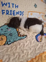 processed/c94f2afe-d787-4c25-bf60-35daacb5fedf/listing/60d93af1-fb3f-4623-a2a9-7d44c55dafee/7dc8b67a-f2f0-481b-a69c-2c7b0f275ace