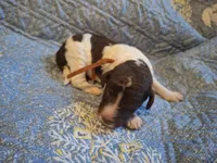 processed/c94f2afe-d787-4c25-bf60-35daacb5fedf/listing/60d93af1-fb3f-4623-a2a9-7d44c55dafee/bd555a17-349d-49dd-bc0e-8848b448fa6d