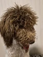 processed/c94f2afe-d787-4c25-bf60-35daacb5fedf/listing/96e8fb76-c73c-4284-89e2-4292b7efd492/645759ea-67ed-4d16-80bb-1598e894bd5a