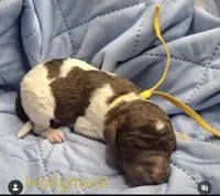 processed/c94f2afe-d787-4c25-bf60-35daacb5fedf/listing/96e8fb76-c73c-4284-89e2-4292b7efd492/e1709399-30cb-4fb7-821f-3af225e9b3ba