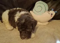 processed/c94f2afe-d787-4c25-bf60-35daacb5fedf/listing/96e8fb76-c73c-4284-89e2-4292b7efd492/fcde5d3e-f7ca-4eac-8fbc-5077820d132f